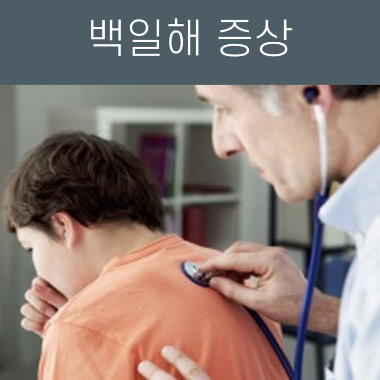 백일해 증상 치료 성인 기침, 경희대 청인유쾌환