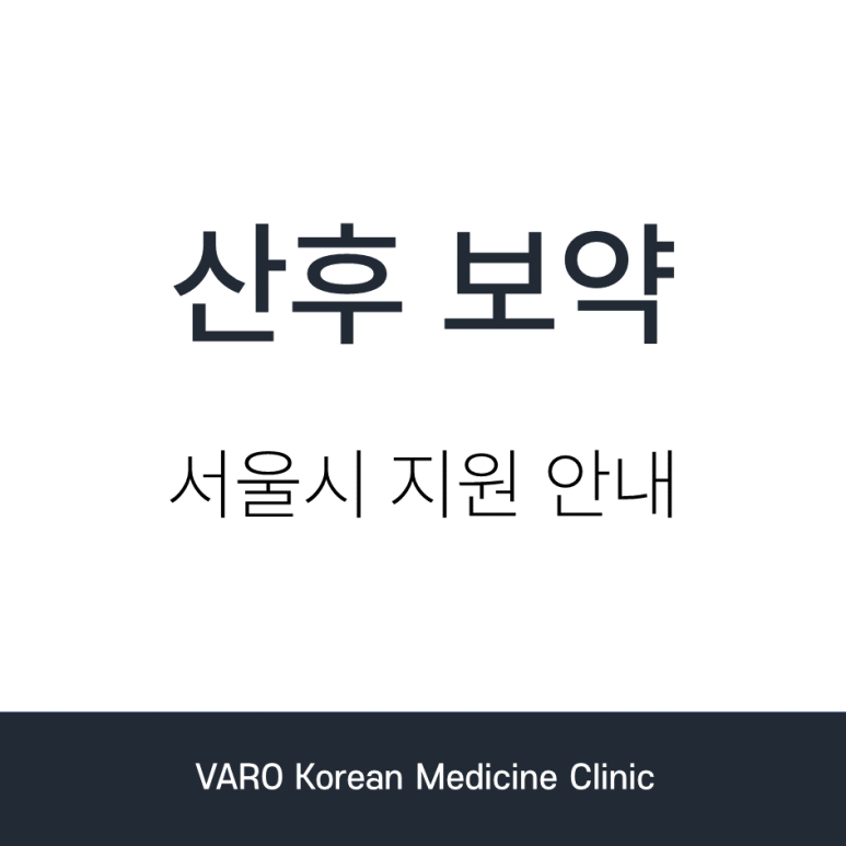 강서구 산후보약 혜택 - 서울시 산후조리 지원금