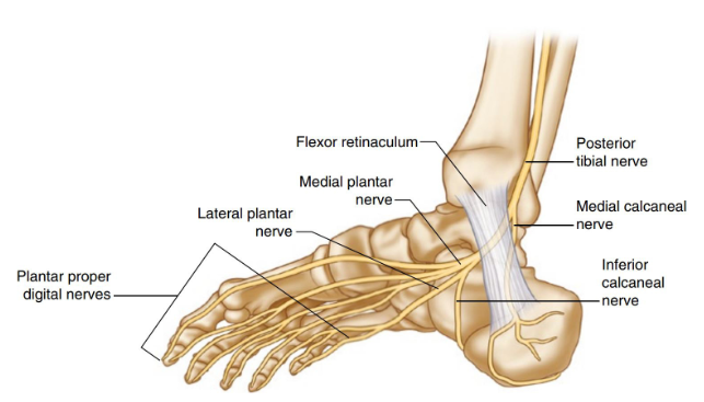 발바닥통증, 열감은 <발바닥 지압점, 핫팩>으로 해결되지 않습니다!