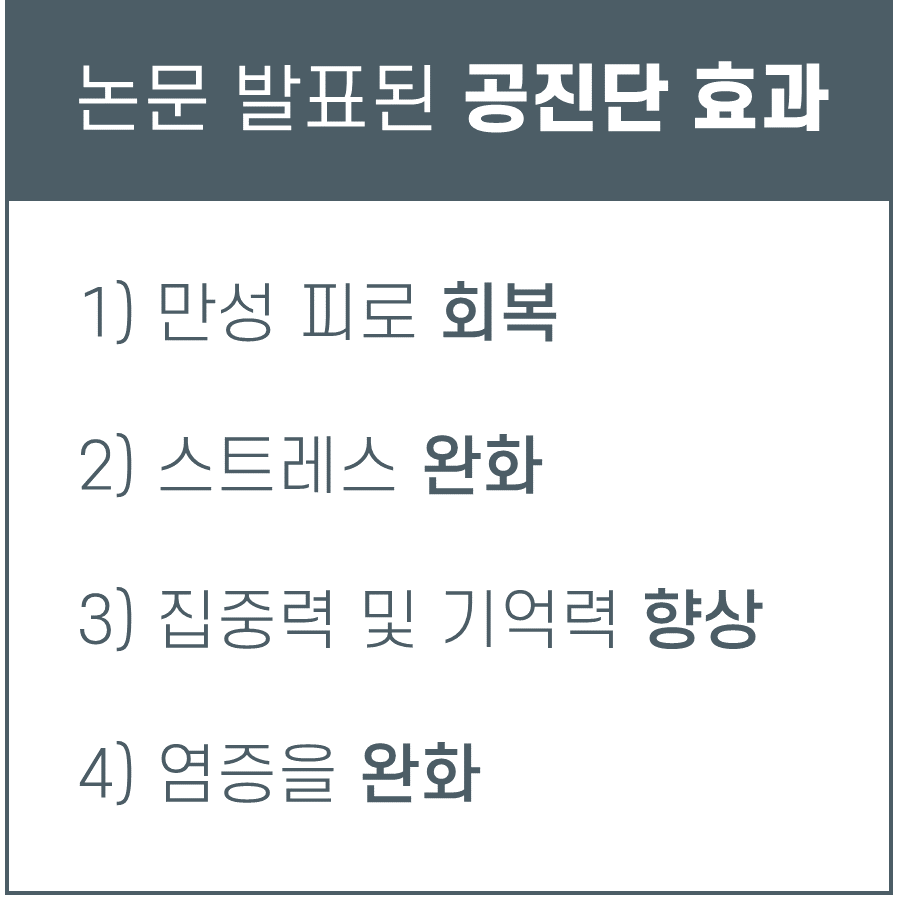 논문 발표된 공진단 효과라는 제목 아래 만성 피로 회복, 스트레스 완화, 집중력 및 기억력 향상, 염증 완화의 네 가지 항목이 나열된 이미지 — 대한한의영상학회 초음파 약침·도침 강의 | 서울 바로한의원