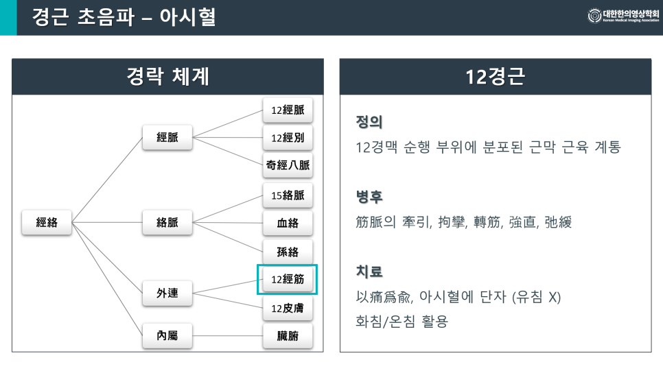 경근 초음파 - 아시혈이라는 제목의 슬라이드로, 경락 체계의 분류도와 12경근의 정의, 병후, 치료법을 설명하는 내용이 담겨 있다 — 초음파 정밀 진단 | 서울 바로한의원 초음파 약침·도침·침도