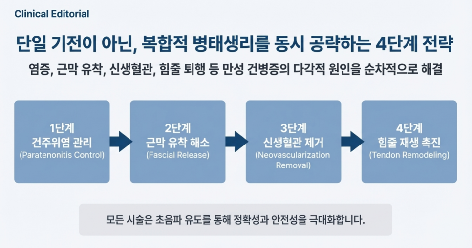 만성 건병증의 4단계 치료 전략을 설명하는 다이어그램으로, 건주위염 관리, 근막 유착 해소, 신생혈관 제거, 힘줄 재생 촉진 단계를 보여줍니다. 모든 시술은 초음파 유도로 진행됩니다 — 초음파 유도하 약침 시술 | 서울 바로한의원
