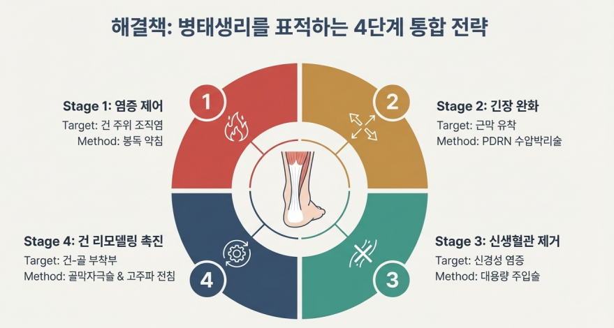 아킬레스건 병태생리를 표적하는 4단계 통합 치료 전략을 설명하는 도표 — 서울 바로한의원 초음파 약침·도침