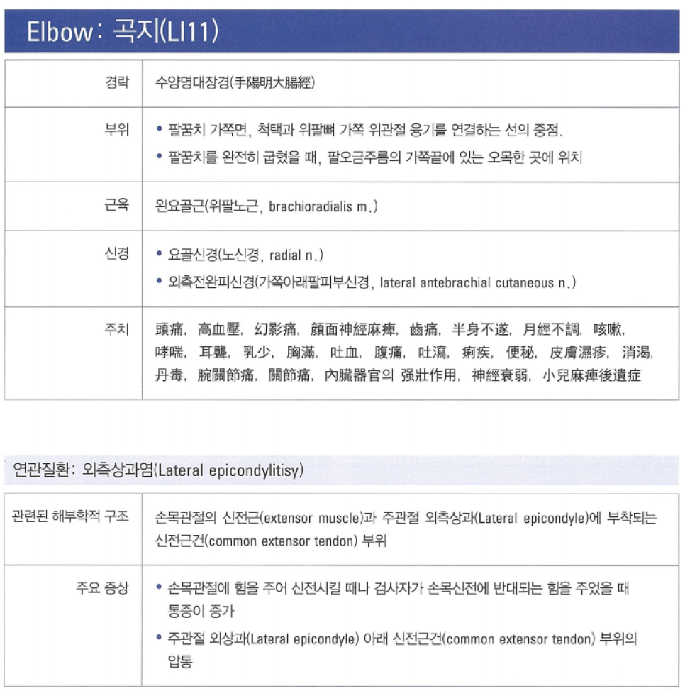 팔꿈치 곡지(LI11) 혈자리에 대한 경락, 부위, 근육, 신경, 주치, 연관질환, 해부학적 구조, 주요 증상 정보가 담긴 표입니다 — 서울 바로한의원 초음파 약침·도침