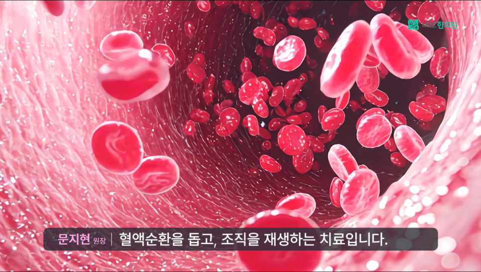 혈관 내부에서 적혈구들이 움직이는 모습 — 서울 바로한의원 초음파 약침·도침