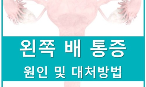 여성 생식기 그림과 '왼쪽 배 통증 원인 및 대처방법'이라는 문구가 적힌 이미지 — 서울 바로한의원 초음파 약침·도침