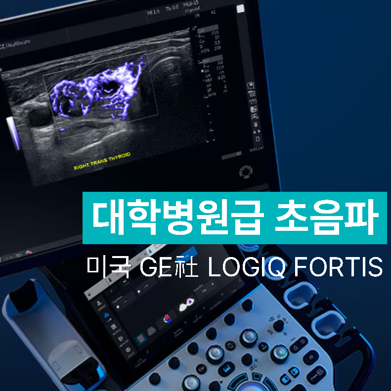 GE LOGIQ FORTIS 초음파 기계 화면에 갑상선 초음파 영상이 보이는 모습 — 초음파 정밀 진단 | 서울 바로한의원 초음파 약침·도침·침도