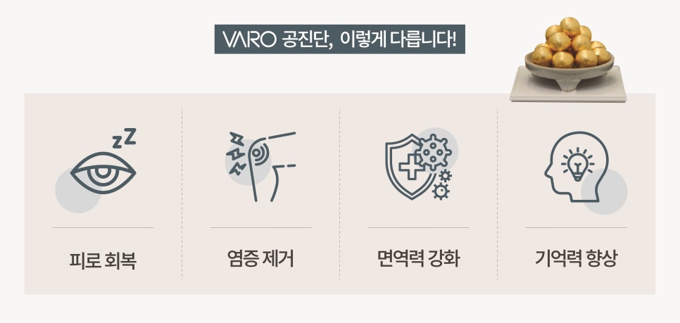공진단 약재가 담긴 그릇과 피로 회복, 염증 제거, 면역력 강화, 기억력 향상을 나타내는 네 가지 아이콘 — 서울 바로한의원 초음파 약침·도침