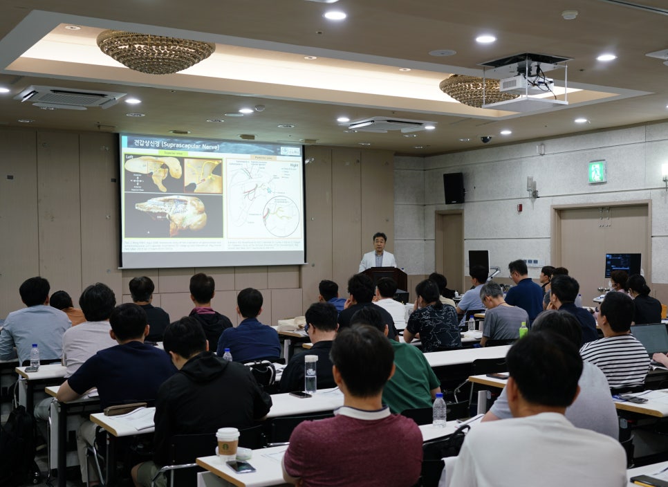 강사가 해부학 그림이 보이는 스크린 앞에서 강연하고 있으며, 여러 사람이 앉아 경청하는 모습 — 대한한의영상학회 초음파 약침·도침 강의 | 서울 바로한의원
