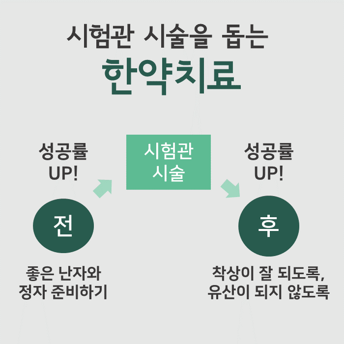 시험관 시술 전 좋은 난자와 정자를 준비하고, 시술 후 착상과 유산을 돕는 한약 치료 과정을 설명하는 다이어그램 — 초음파 유도하 약침 시술 | 서울 바로한의원