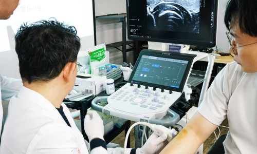 흰 가운을 입은 사람이 다른 사람의 팔에 초음파 기기를 대고 검사하고 있으며, 모니터에 초음파 영상이 보인다 — 초음파 정밀 진단 | 서울 바로한의원 초음파 약침·도침·침도