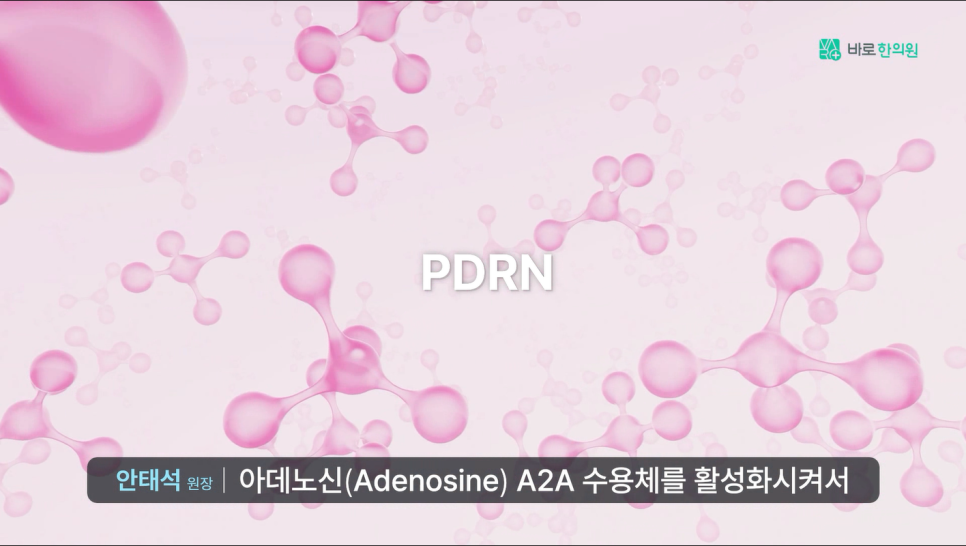 분홍색 배경에 PDRN 글자와 분자 모형들이 떠 있는 모습 — 서울 바로한의원 초음파 약침·도침