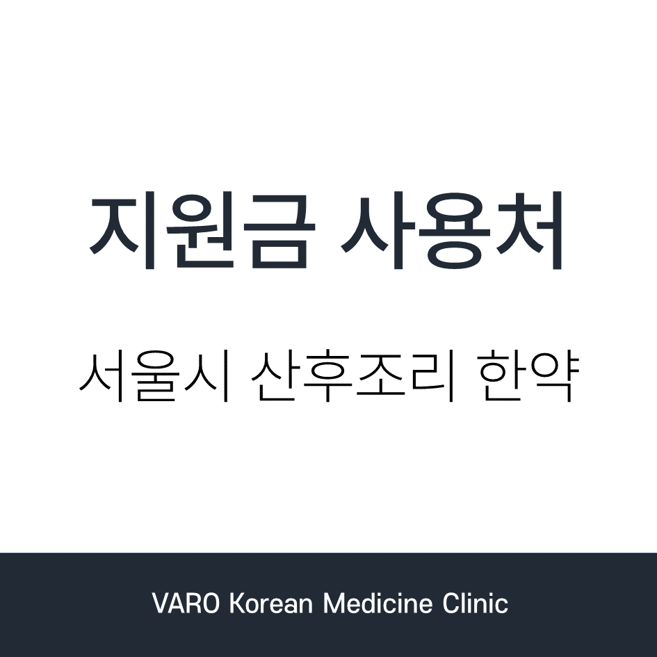 지원금 사용처와 서울시 산후조리 한약 문구가 적힌 이미지 — 서울 바로한의원 초음파 약침·도침