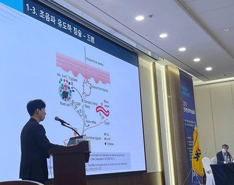 강연자가 초음파 유도 침술의 작용 기전이 그려진 슬라이드를 발표하고 있다 — 대한한의영상학회 초음파 약침·도침 강의 | 서울 바로한의원